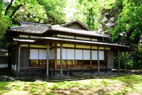 7月23日（土）六義園 【体験講座】江戸うちわづくりに挑戦！