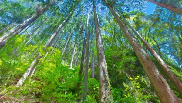 学園生活コミュニティ「キャラフレ」｜『ホワイトデーイベント』のお知らせ