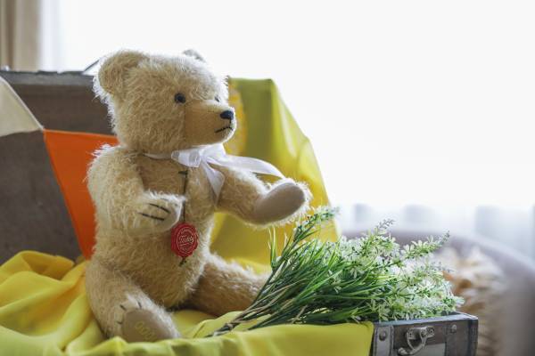 世界3大テディベア ドイツの老舗「ハーマンテディ」と名古屋初コラボレーション『HERMANN Teddy’s Honey Hunt～コンセプトルーム～』販売