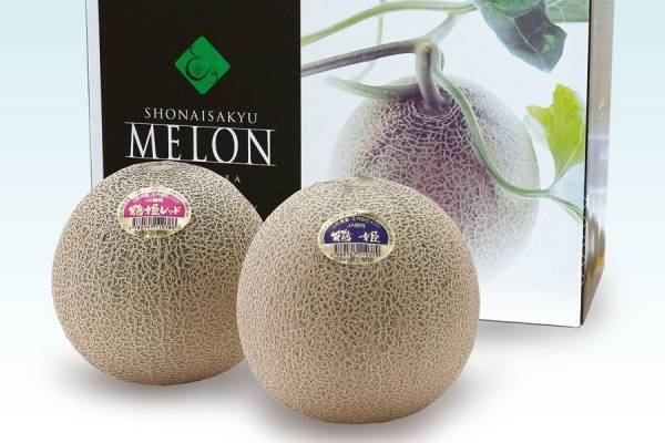 産地直送通販サイト「ＪＡタウン」で山形県産鶴姫メロンと 鶴姫レッドメロンをセットで販売開始！