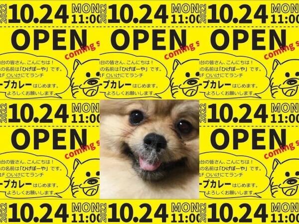 【新ご当地グルメ】仙台スープカレー専門店「ひげぼ〜や」が仙台中心部にオープン！
