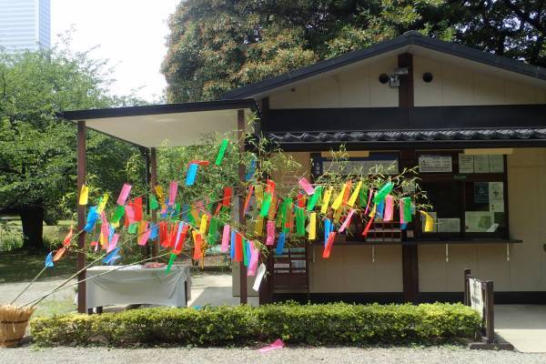 都立庭園で七夕飾り~短冊に願い事を～