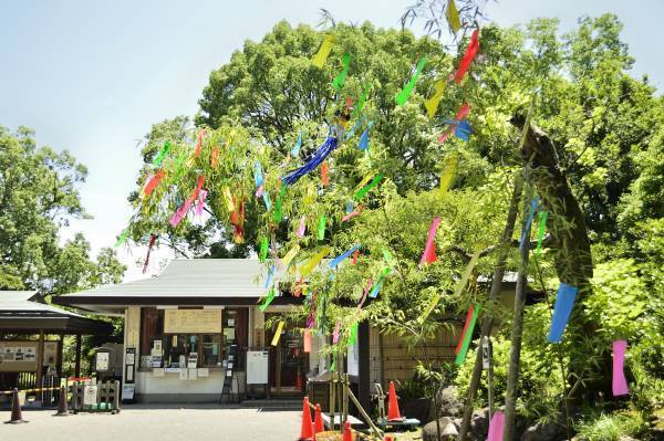 都立庭園で七夕飾り~短冊に願い事を～