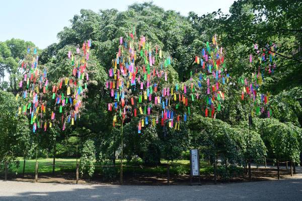 都立庭園で七夕飾り~短冊に願い事を～