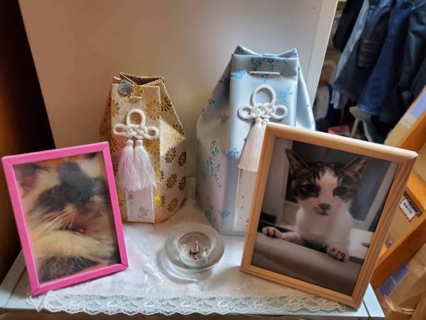 業界初の宇宙散骨「ペット葬」