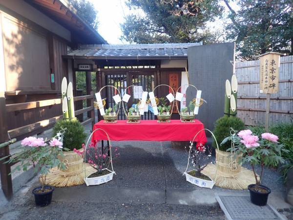 向島百花園「伝統技能見学会 ～春の七草籠の制作～」と「春の七草の展示」開催のお知らせ【墨田区】
