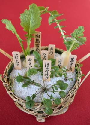 向島百花園「伝統技能見学会 ～春の七草籠の制作～」と「春の七草の展示」開催のお知らせ【墨田区】