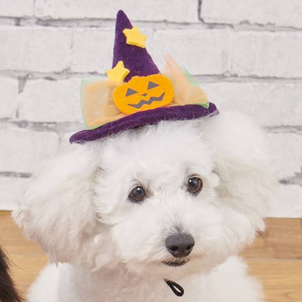 今年は「ヴィンテージコミック」テイストでハロウィーンを演出！8月26日（金）より新作アイテムを順次展開スタート！