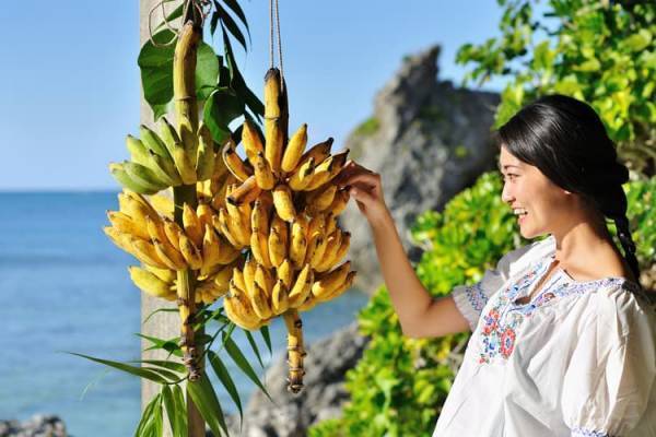 【バンタカフェ】青い海を眺めながらトロピカルフルーツを堪能する「まーさんトロピカルフェア」開催｜開催日：2022年7月1日～8月31日