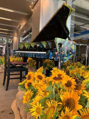 富山駅ストリートピアノイベント会場を約1000本のひまわりが華やかに彩る