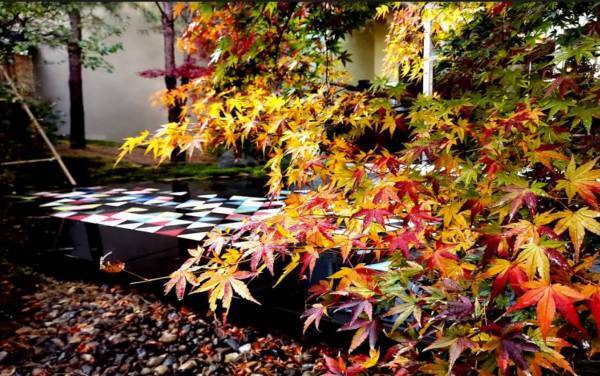 【界 加賀】国の有形文化財である茶室で紅葉を眺めながら、初めての方でも気軽に楽しめるお茶会「加賀紅葉いっぷく茶会」を開催｜期間：2022年11月1日～11月30日