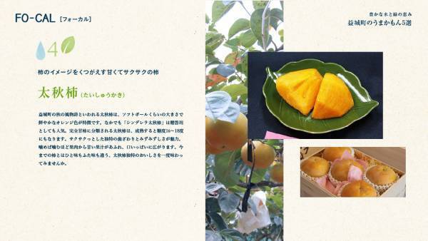 葵わかなさんが震災の記憶と復興の歩みをたどる旅へ「旅色FO-CAL」益城町特集公開