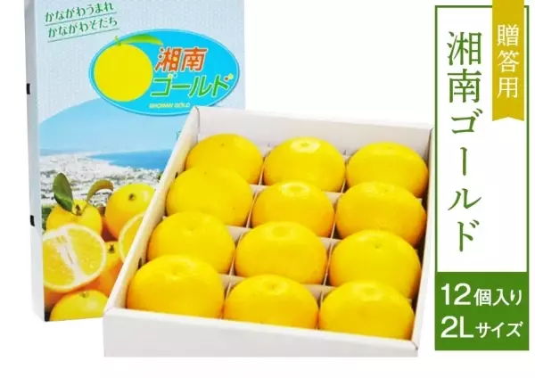 神奈川生まれの幻のオレンジ！！産地直送通販サイト「ＪＡタウン」で“湘南ゴールド”を販売中！