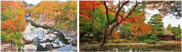 10月11日スタートの全国旅行割（*）を活用して早速行きたい！10月中旬から紅葉が楽しめる、大江戸温泉物語 宮城県と福島県のオールインクルーシブの宿。