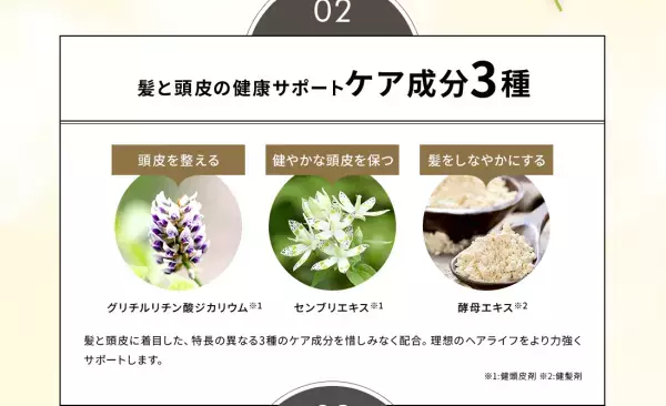 すべての髪は地肌から。タフな地肌と髪の未来を考える スカルプシャンプー『炭酸スカルプシャンプーGoomo』の割引販売を開始