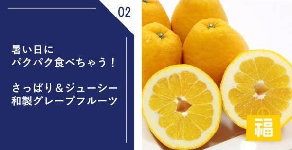 ＼夏のたび福袋、ついに発売／7/15(金)10時よりスタート！全国からお得でおいしい「夏グルメ」が大集合！【旅する久世福e商店】