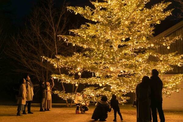 【軽井沢星野エリア】高さ10mのもみの木のクリスマスツリーで街を彩る「軽井沢星野エリアのクリスマス2022」を開催 ～幸せの象徴「やどりぎ」を模したイルミネーションも点灯～ ｜期間：2022年11月27日～12月25日