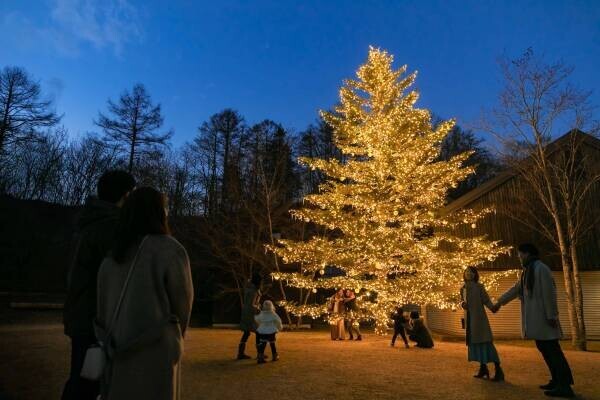 【軽井沢星野エリア】高さ10mのもみの木のクリスマスツリーで街を彩る「軽井沢星野エリアのクリスマス2022」を開催 ～幸せの象徴「やどりぎ」を模したイルミネーションも点灯～ ｜期間：2022年11月27日～12月25日