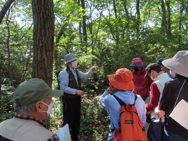 小山内裏公園「キノコウォッチング　～秋の里山のキノコを楽しむ～」10月9日（日）