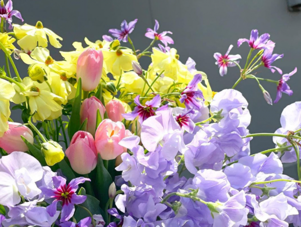 地産地消！全て愛知県産の花を専属フローリストがセレクト販売！一日限定イベント開催！ 「STRINGS 花マルシェ～Flower Wonderland～」開催