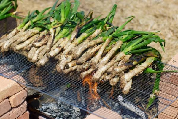 【リゾナーレ那須】旬のねぎを目前で豪快に焼き上げ、栃木県内のワイナリーで造られるワインとのペアリングも楽しめる「ねぎフェス」初開催｜期間：2022年11月1日～30日