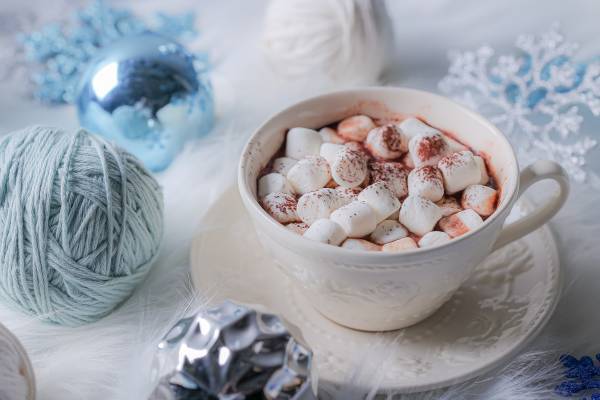 【大阪・心斎橋】ふわふわした雪山の真っ白い動物達がお出迎え！『クラシカルレディーのウィンターアフタヌーンティー』 期間限定販売