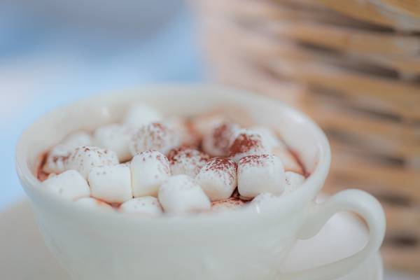 【大阪・心斎橋】ふわふわした雪山の真っ白い動物達がお出迎え！『クラシカルレディーのウィンターアフタヌーンティー』 期間限定販売