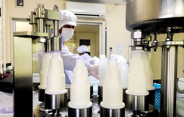 【界 阿蘇】「山吹色でまろやか、ジャージー牛乳の加工場見学」開催　牛乳3種の飲み比べなども｜期間：2022年4月6日～7月13日