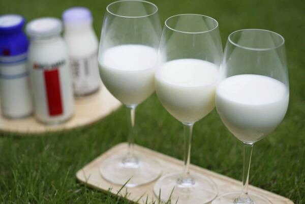 【界 阿蘇】「山吹色でまろやか、ジャージー牛乳の加工場見学」開催　牛乳3種の飲み比べなども｜期間：2022年4月6日～7月13日