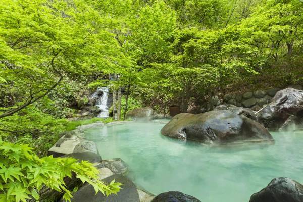【奥入瀬渓流ホテル】貸切露天風呂のオプションが新登場　愛犬と一緒に奥入瀬渓流を満喫する「奥入瀬ペット旅」を提供｜提供期間：2022年6月1日～10月23日