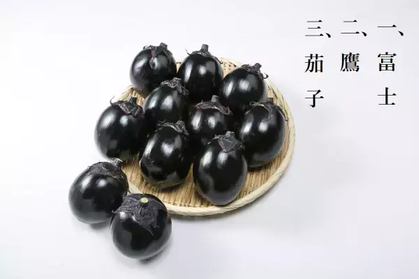 徳川家康が愛したと言われるナス 産地直送通販サイト「ＪＡタウン」で静岡県産「折戸なす」を販売中！