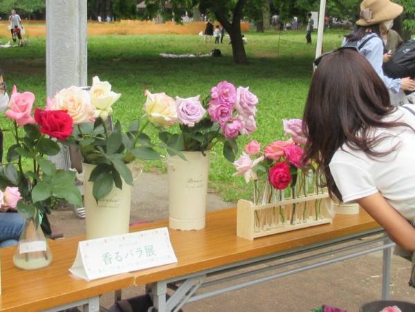 代々木公園「秋のバラフェスタ」10月9日（土）開催！野外ミニシアターも実施！