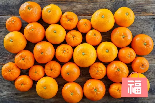 究極のカキフライに、かわいすぎるお寿司まで！＼春のたび福袋／3月1日より発売開始！【旅する久世福e商店】