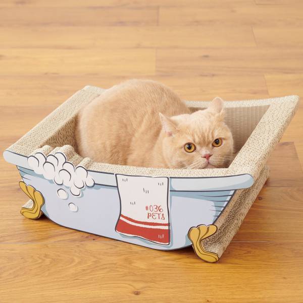 SNSで話題沸騰！昨年即完売！人気ペットグッズ「爪とぎ」シリーズ、数量限定の新作『ハロウィーン』の先行予約が本日スタート！