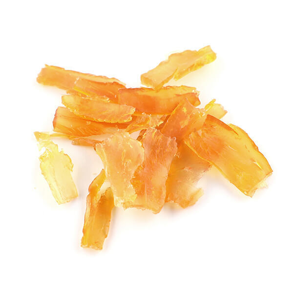 SNSで話題沸騰！昨年即完売！人気ペットグッズ「爪とぎ」シリーズ、数量限定の新作『ハロウィーン』の先行予約が本日スタート！