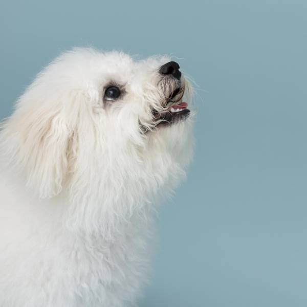 【期間限定】humanlog（ヒューマンログ）フォトスタジオの無料撮影キャンペーン！！