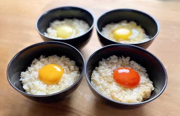 行列のできる幻の卵屋さんが池袋と北海道に出現！