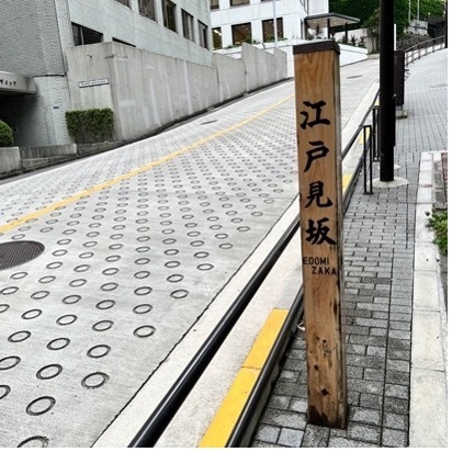 パンプス社長が喜びを表現！パンプス履いて江戸見坂を全力疾走！