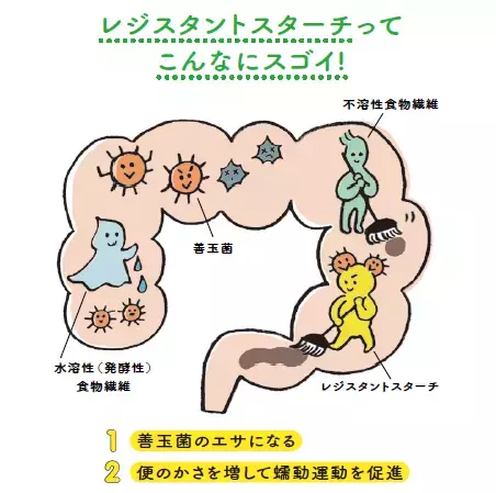 コロナ禍で気がつかないうちに腸はヘトヘトに？　腸の第一人者・小林弘幸先生も実践する、本気の腸活法をまとめた書籍を発売！