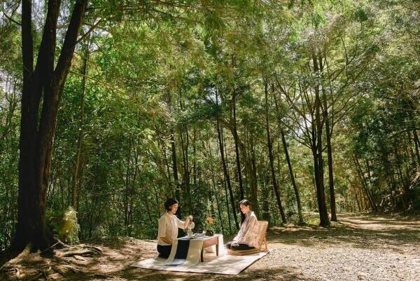 【星のやグーグァン】専属ガイドと茶師がもてなす「台中秘境ハイキング」開催 ～静謐を湛える山林で、心と身体を調える～｜期間：2022年11月1日～2023年2月28日