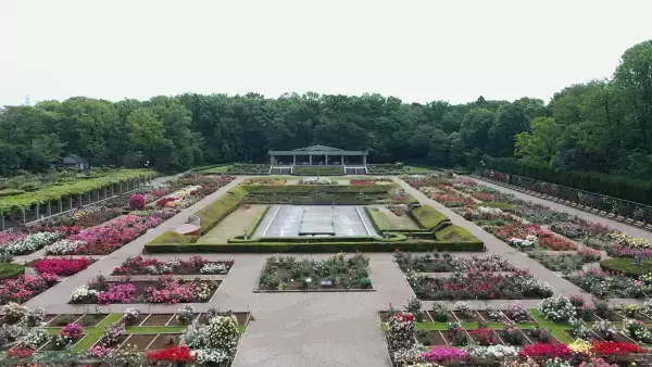 神代植物公園 『LOGet!CARD（ロゲットカード）』 、「秋のバラフェスタ」に合わせて10月8日（土）より先行配布開始！