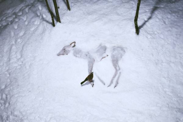 【北海道 東川町】第38回「写真の町」東川賞の受賞作家が決定