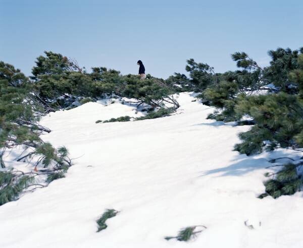 【北海道 東川町】第38回「写真の町」東川賞の受賞作家が決定