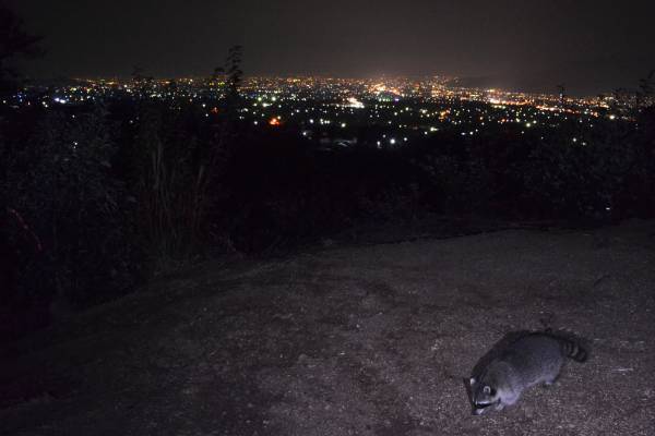 【北海道 東川町】第38回「写真の町」東川賞の受賞作家が決定
