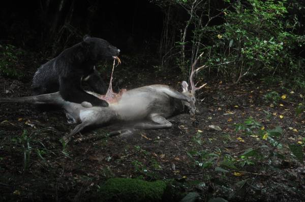 【北海道 東川町】第38回「写真の町」東川賞の受賞作家が決定