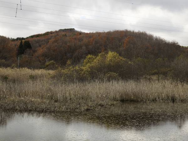 【北海道 東川町】第38回「写真の町」東川賞の受賞作家が決定