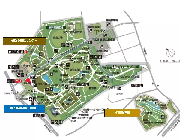 神代植物公園、参加型フォトコンテスト「みんなで選ぶ！彩り豊かな秋色フォト」Twitterにて開催！