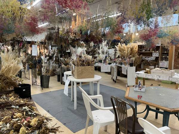 宮崎県都城市の園芸店「サンパーク都城」広々としたドライフラワーエリアが出現