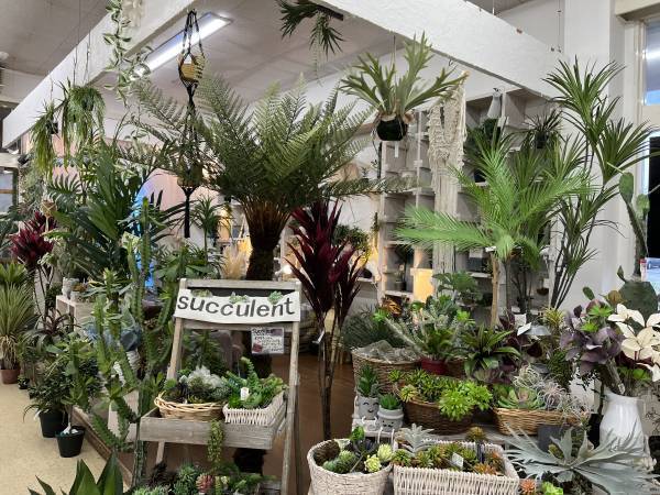 宮崎県都城市の園芸店「サンパーク都城」広々としたドライフラワーエリアが出現