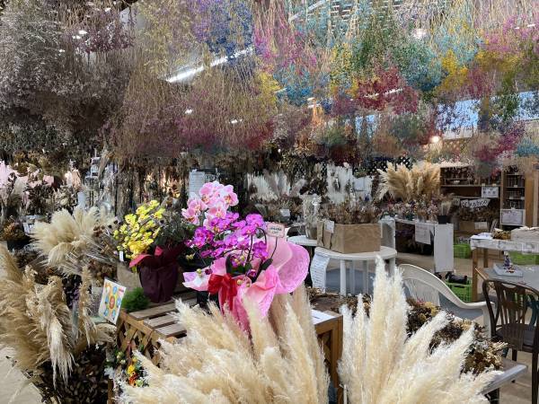 宮崎県都城市の園芸店「サンパーク都城」広々としたドライフラワーエリアが出現